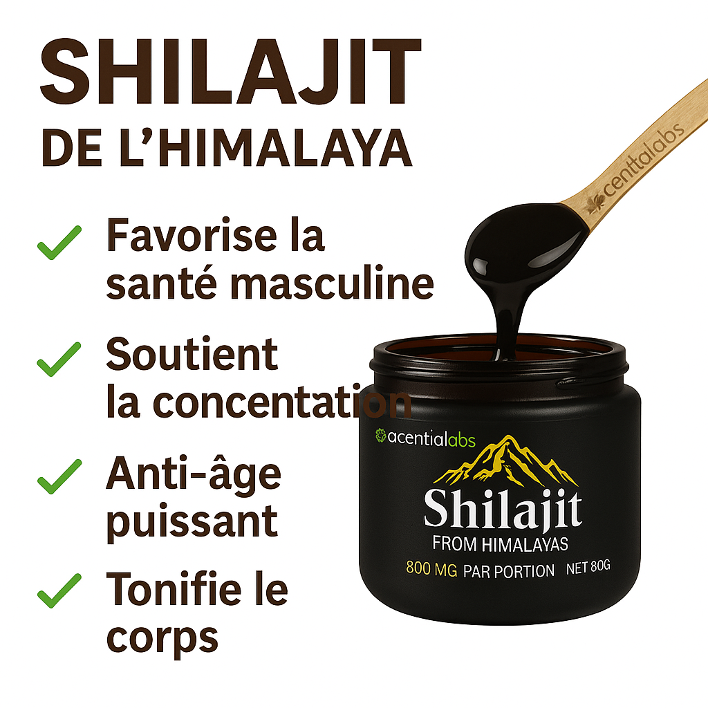 Shilajit De L'Himalaya