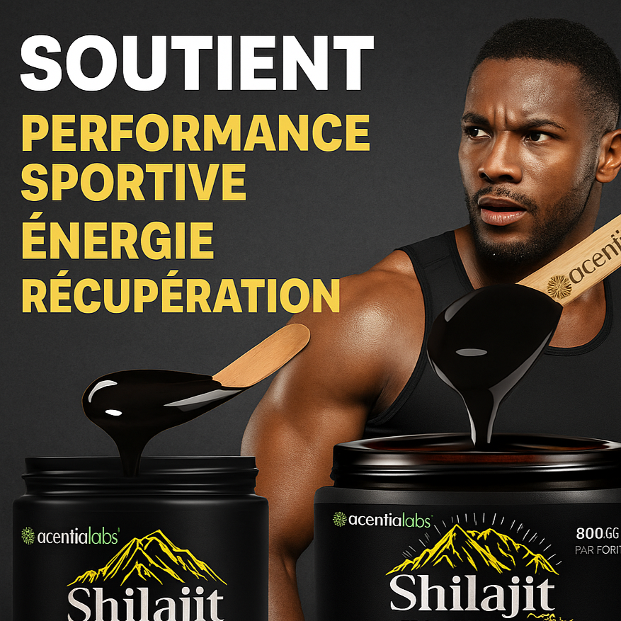 Shilajit De L'Himalaya