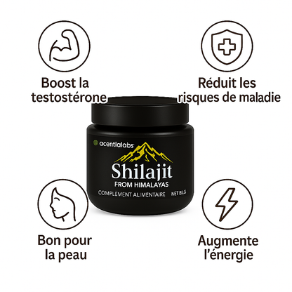 Shilajit De L'Himalaya