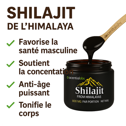 Shilajit De L'Himalaya