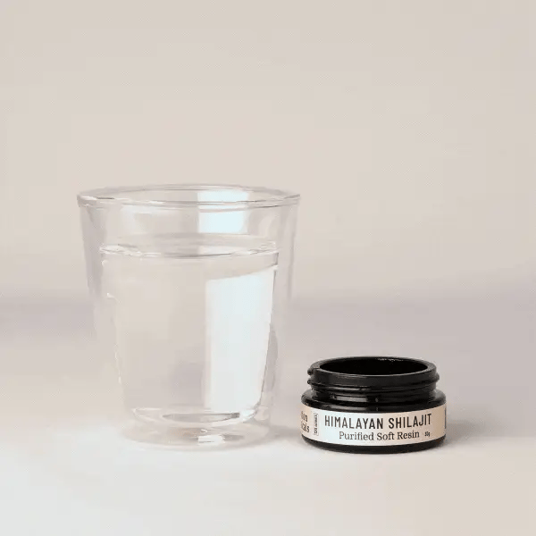 Shilajit De L'Himalaya